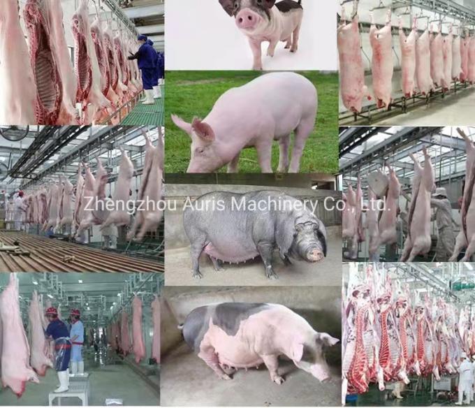 I capelli commerciali del maiale della macchina utensile della carne di maiale della linea di macello del maiale di uso che rimuovono l'attrezzatura per il macello dei maiali depilano la macchina