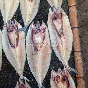 Macchine utensili del pesce 1PCS/S che aprono la tagliatrice della fetta di pesce della pancia 4