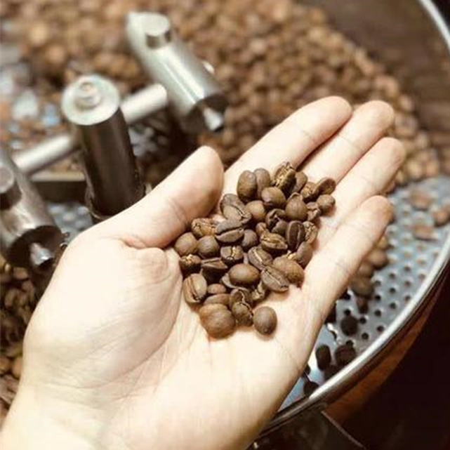Macchina bollente di chilogrammo Diedrich Coffee Bean Roaster Roasting del Toper 5 di alta qualità elettrica del gas di prezzo basso piccola con il cucchiaio del campione