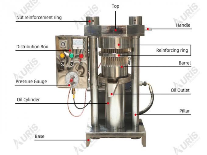Olio di girasole idraulico verticale del seme del tè della noce del sesamo di alto recupero dell'olio che espelle premendo espulsore che fa attrezzatura