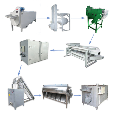 linea di produzione del dado dell'alimento 400kg anacardio della bevanda che fa macchina