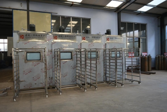 forno industriale di fumo della Camera del fumo in lotti dello SpA 100kg della macchina della carne 380v