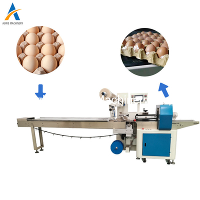 Macchina imballatrice dell'imballaggio alimentare di flusso della pizza della macchina del cuscino automatico della guarnizione