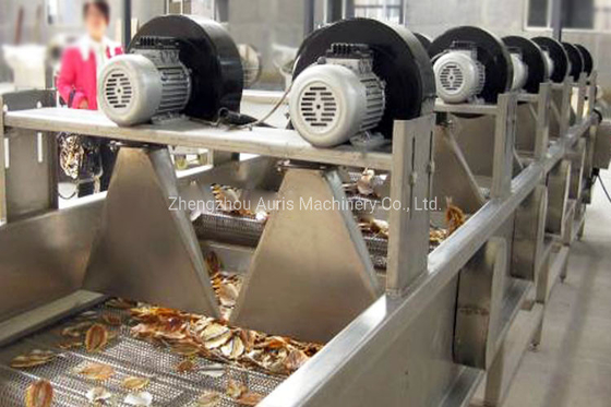 Nocciolo che imbianca la sbucciatrice matta dell'anacardio della noce della macchina utensile